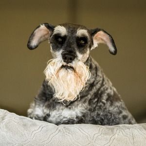 Meet your Posher, Jane